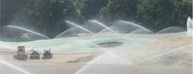 Meadow Brook Golf Club Turf establishment by seed